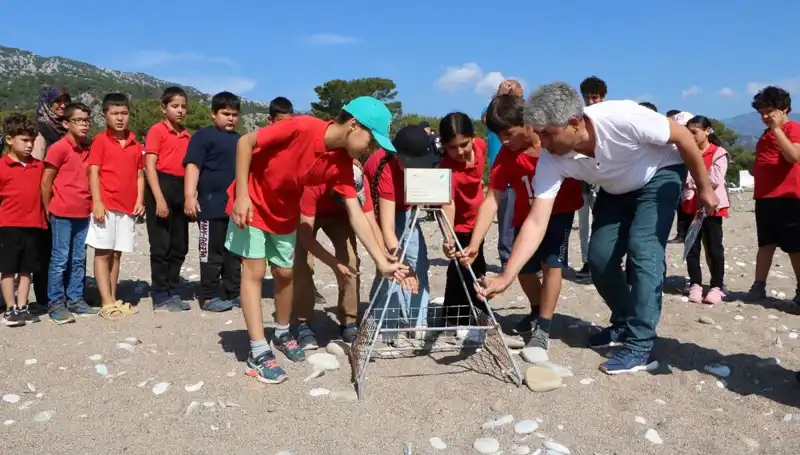 Kemer’de Caretta Caretta Yasakları Resmen Başladı! Plajlar ve Denizde Yeni Düzenlemeler
