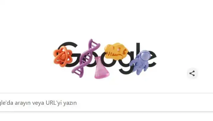 STEM Alanındaki Kadınlar: Geleceği Şekillendiren Özellikleri ve Doodle Etkisi