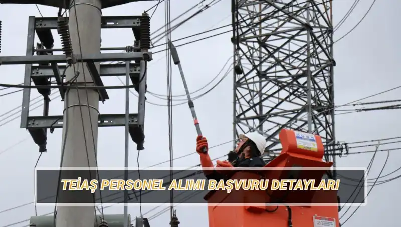 TEİAŞ Personel Alımı Başvuruları Başladı: Şartlar ve Branş Dağılımı Nedir?