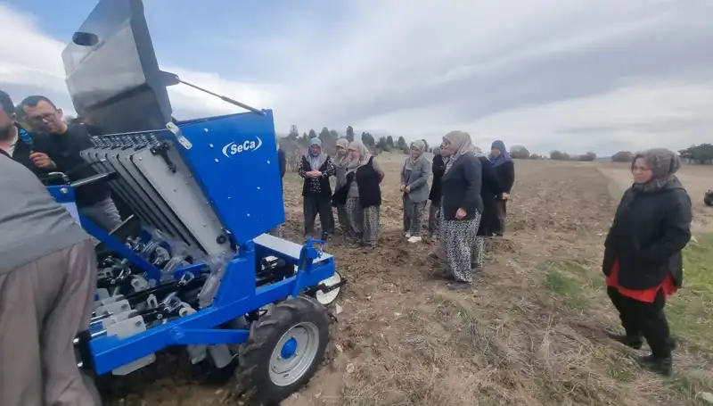 Domaniç'te Ata Tohumu Sarımsak Projesi İle Yerel Tarım Zenginleşiyor