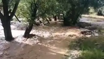 Mersin'deki Sağanak Yağış, Şehirde Maddi Hasara Neden Oldu!
