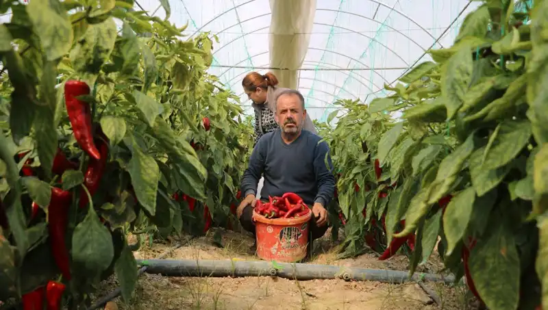 Piyasada Şok Fiyat Artışı: Ürün 50 TL’den 80 TL’ye Çıktı!