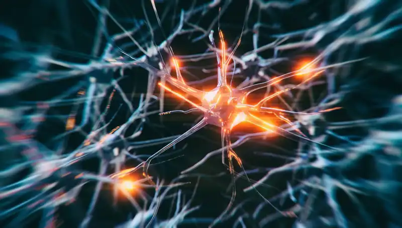 Alzheimer Vakalarının Artışı: Nedenleri ve Çözüm Önerileri