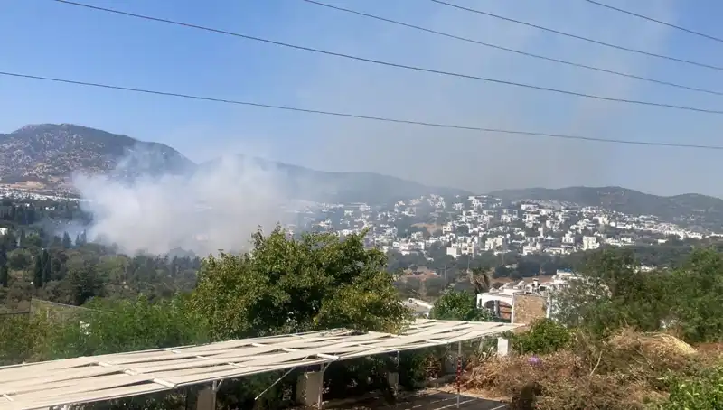 Muğla’daki Orman Yangınları Kontrol Altına Alındı: Neler Yaşandı?