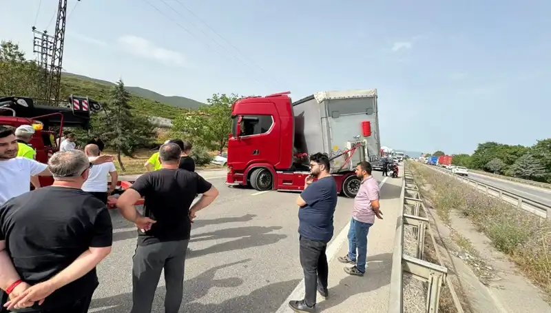 Seyir Halindeki Araçta Arı Sokması: Trafiği Felç Etti!