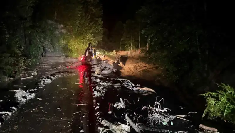 Rize'deki Şiddetli Yağışlar: Sel ve Heyelan Felaketi Neler Getirdi?