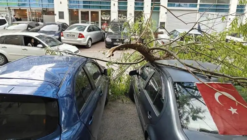 Kayseri'de Fırtına Hayatı Felç Etti: Dalları Kırdı, Çatıları Uçurdu!