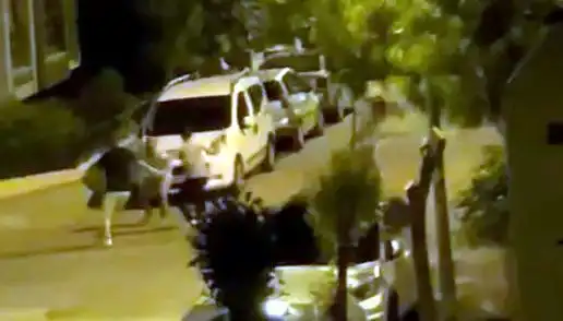 Avcılar’da 3 Kişinin Saldırısına Uğrayan Vatandaş Kurtarıldı!
