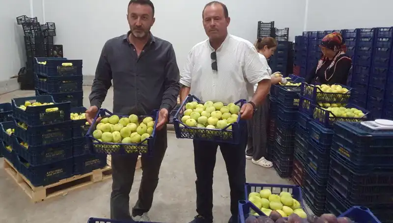 Mersinli Çiftçinin Yüzü: Tanesi 20 TL'den İhraç Edilen Ürünler!