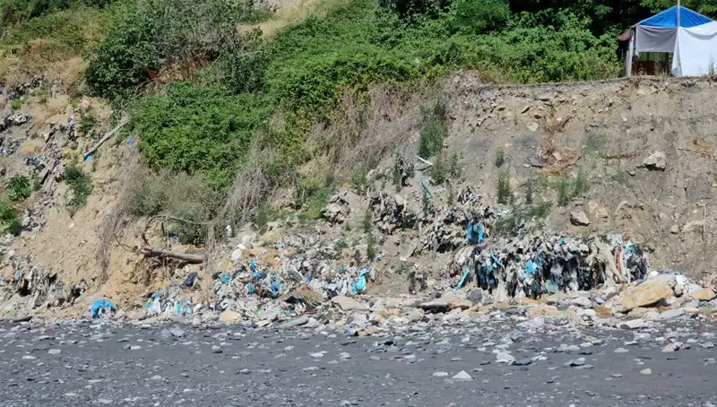 Kozlu Sahil’deki Çöp Yığını, Doğa Sevgisini Tehdit Ediyor!