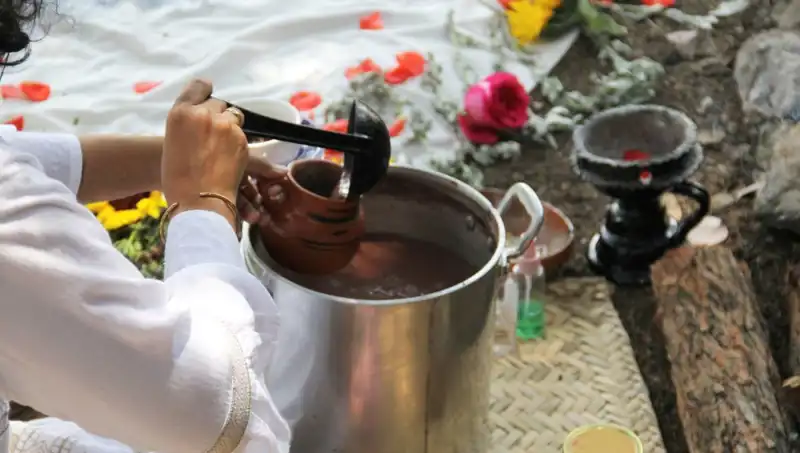 Ayahuasca: Şifa Arayanların İlgiyle Yüzleştiği Doğal Bir Sır