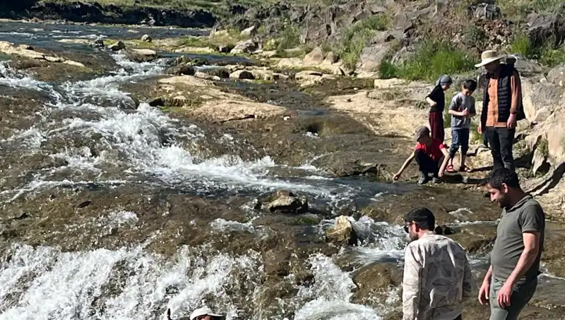 İnci Kefalinin Büyüleyici Göçü: Doğa Harikası Turistleri Çekiyor