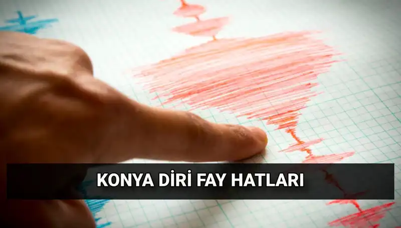 Konya'da Deprem Riski: Fay Hatları Hakkında Bilinmesi Gerekenler