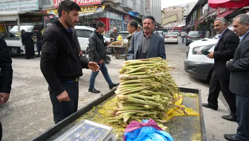 Dağlık Alanlardan Toplanan Şeker: Kanser ve Mide Hastalığına Umut Oluyor!
