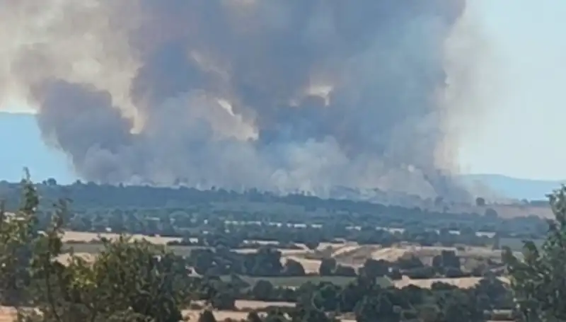 Komşudaki Orman Yangını Edirne’yi Duman Altında Bıraktı, İtfaiye Ekipleri Seferber Oldu