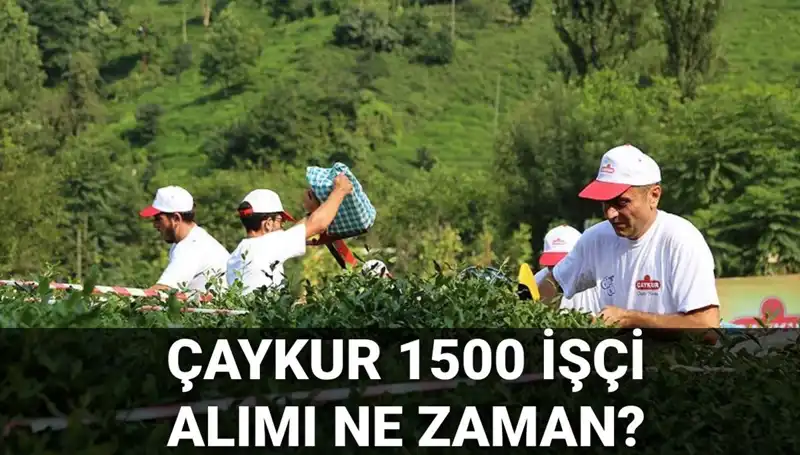 Çaykur İşçi Alımı Başvuru Tarihleri Açıklandı! İşte Son Durum