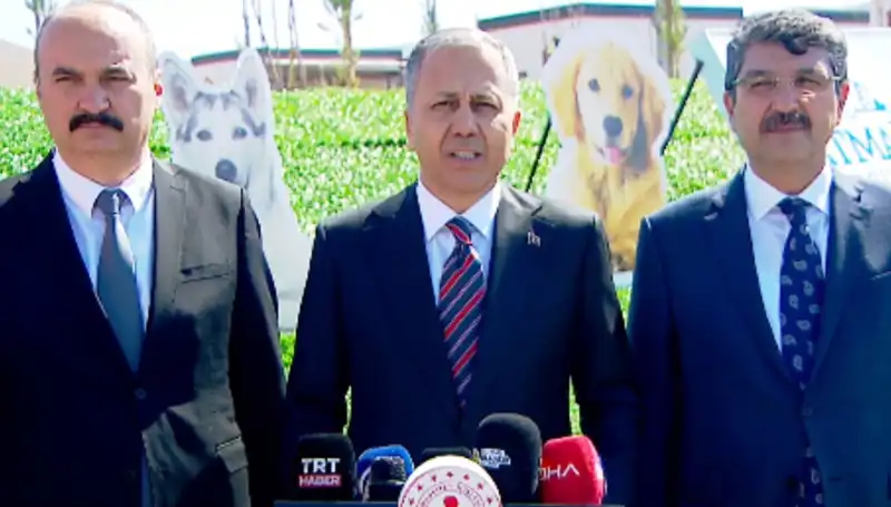 İçişleri Bakanlığı'ndan Sokak Köpeklerine Kapsamlı Denetim: 81 İle Müfettiş Gönderildi