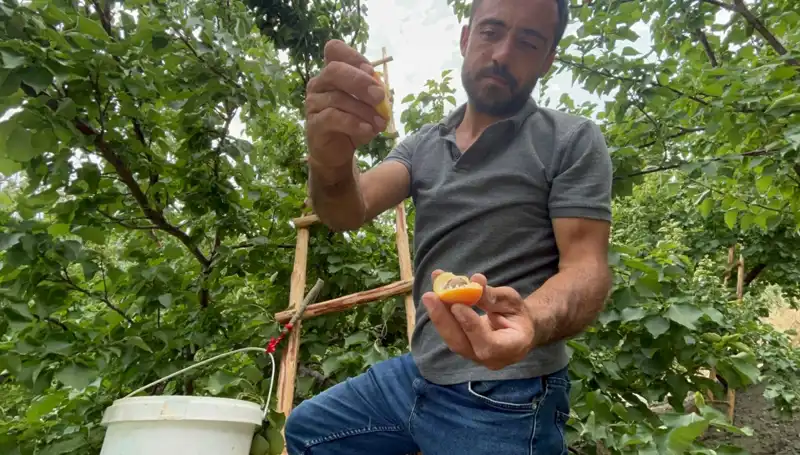 50 TL ile 70 TL Arası Satılan Bu Lezzet, Ziyafetinizi Taçlandıracak!