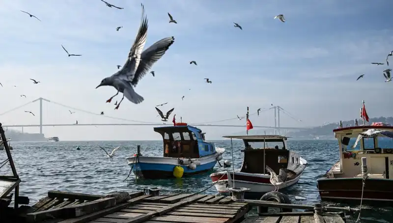 İstanbul'un Hava Durumu Gözleriyle Bahara Merhaba Dedi!