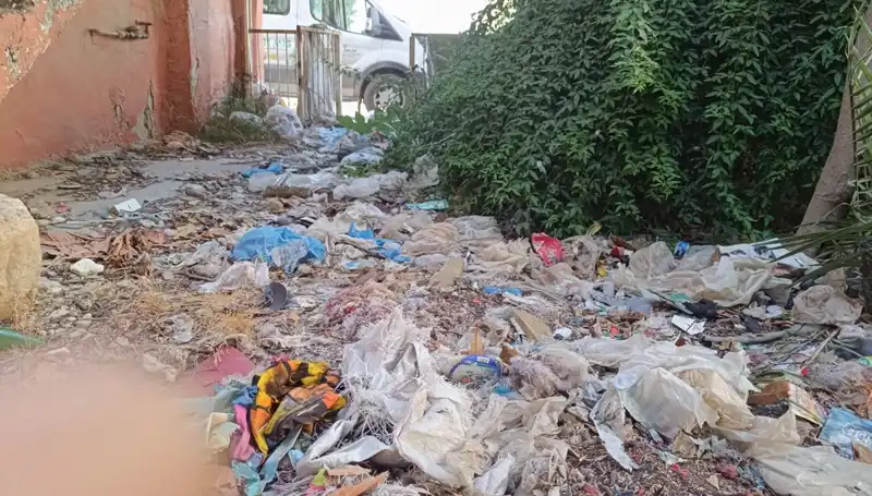 Evin Bahçesinden Kamyon Dolusu Çöp Çıktı: Temizlik Kıyameti