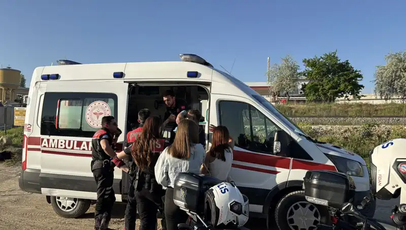En Zor Anlarda Arkadaşlık Bağları: Hayat Kurtaran Dallarla Dolu Bir Hikaye