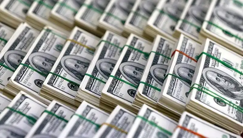Doların Hızla Yükselişine Dikkat! Uzmanlardan Uyarılar Geldi