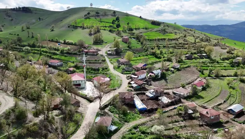 Türkiye’deki Mahallede Doğuştan Engelli Bebeklerin Oranı Artıyor