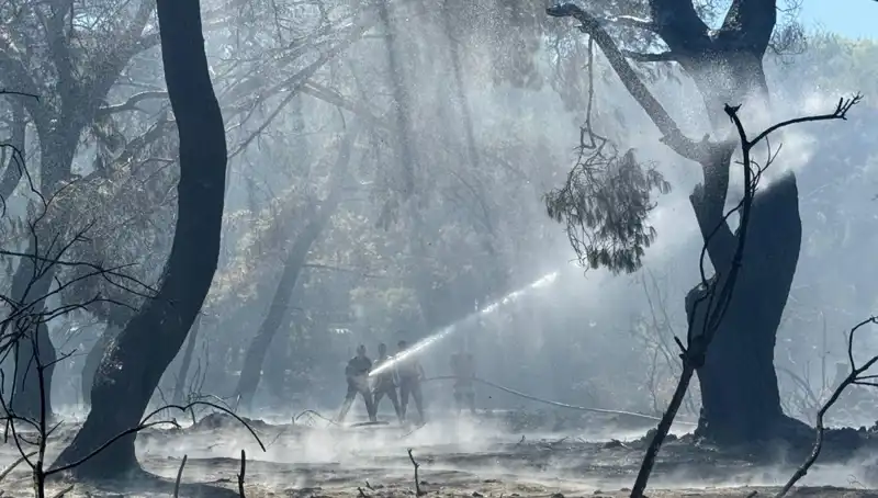 Çanakkale, Antalya ve Hatay'daki Yangınlar Sonunda Kontrol Altına Alındı