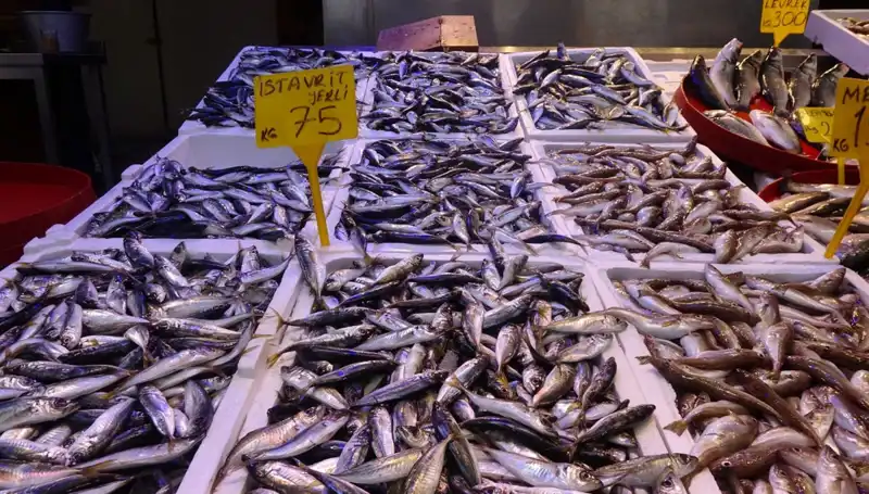 Balık Sezonu Sona Ererken, Balıkçıların Endişeleri Artıyor!