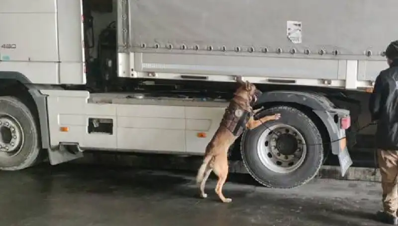 Limanda Yılın En Büyük Uyuşturucu Operasyonu: Herkes Şokta!