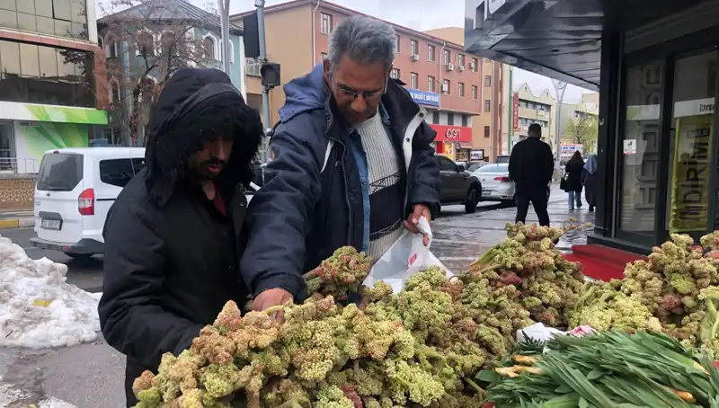 Kendiliğinden Yetişen Vitamin Deposunun Sağlık Faydaları: Kanserin Yeni Umudu
