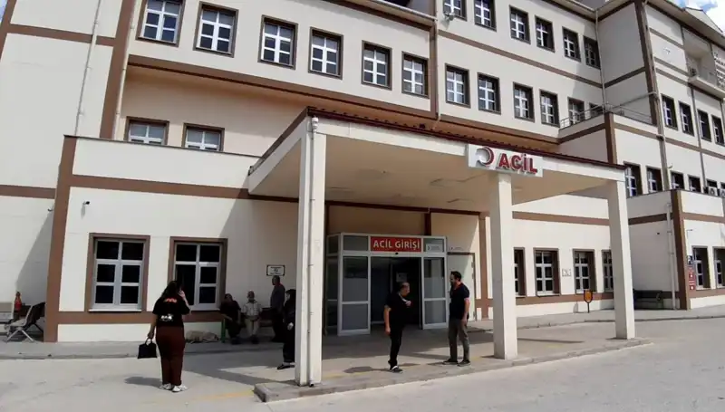Bolu'da Tartışmalı Ayı Avı Kararı: Yerel Yönetim ve Doğa Severler Ne Diyor?