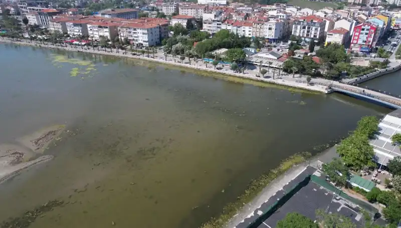 Marmara Denizi'nde Tehlike Çanları: Eşsiz Güzellikler Ciddi Risk Altında