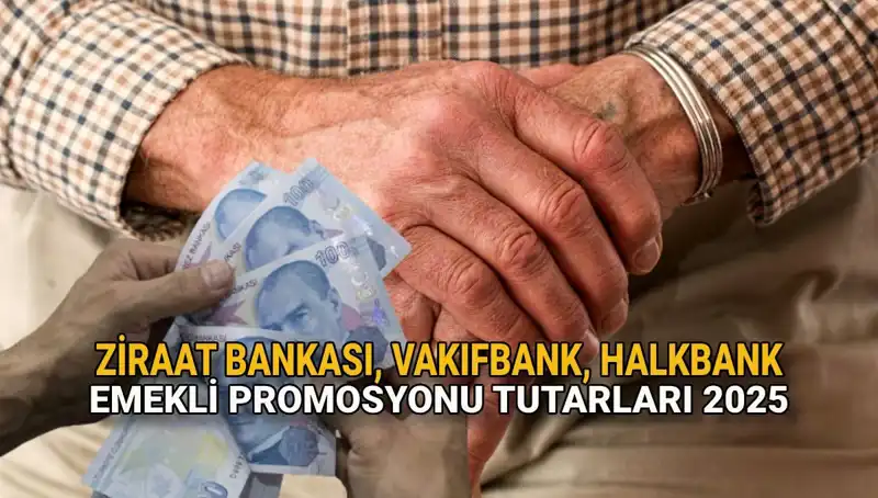 2025'te Emeklilere Sunulacak Promosyonlar: Kamu Bankaları Ne Vaadediyor?