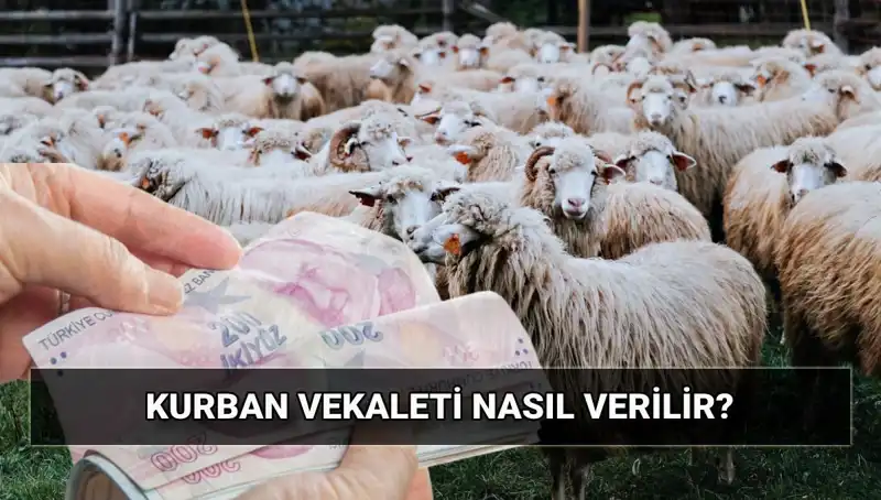 Vekaletle Kurban Kesimi: Nasıl Yapılır, Ücretler Neler?