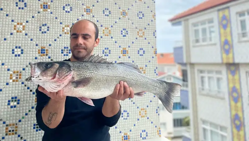 Türkiye'nin Balık Avında Yeni Rekor: 7,5 Kiloluk Dev Levrek Yakaladı!