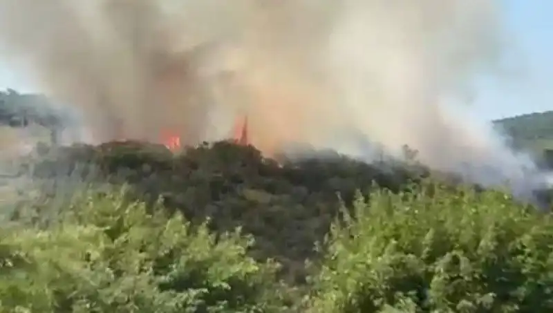 İstanbul Orman Yangını: Acil Tahliye ve Dikkat Çeken Önlemler Alındı