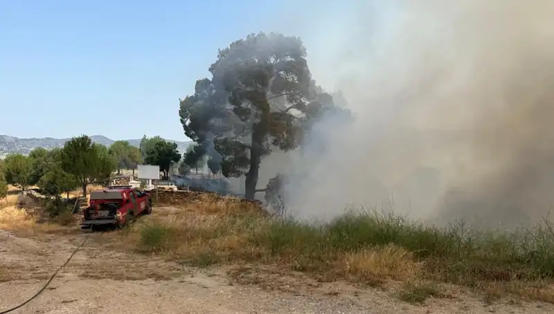Muğla'da Korkutan Orman Yangını: Son Durum ve Önlemler