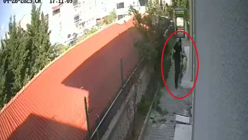 Veteriner Doktorun Şok Eylemi: Sahiplendiği Köpekleri Neden Öldürdü?