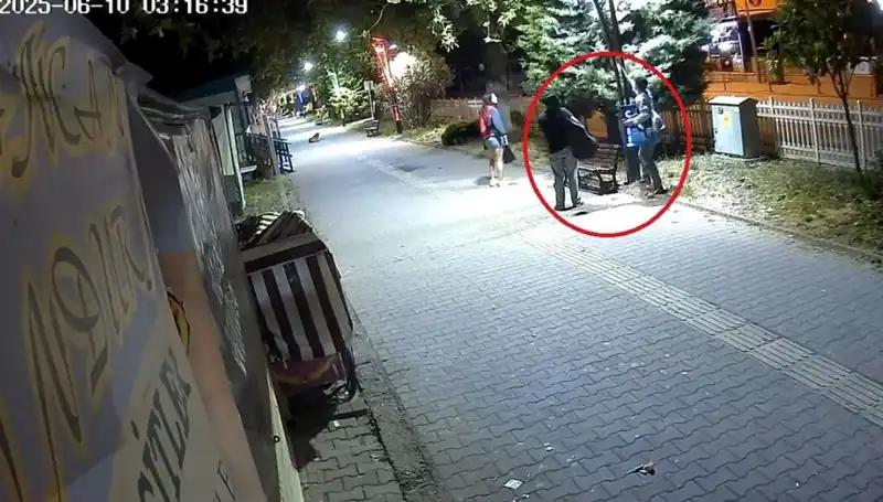 Aydınlatma Direklerindeki LED'leri Sökerek Şehirde Özelleşmiş Vandalizm