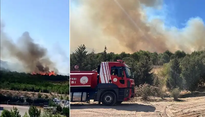 Gebze'de Korkutan Orman Yangını: Yangın Bölgesinin Durumu Nedir?