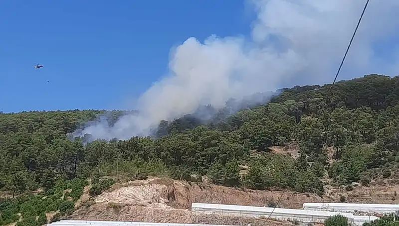 Kumluca’da Ortaya Çıkan Orman Yangını, Doğayı ve Ekonomiyi Tehdit Ediyor