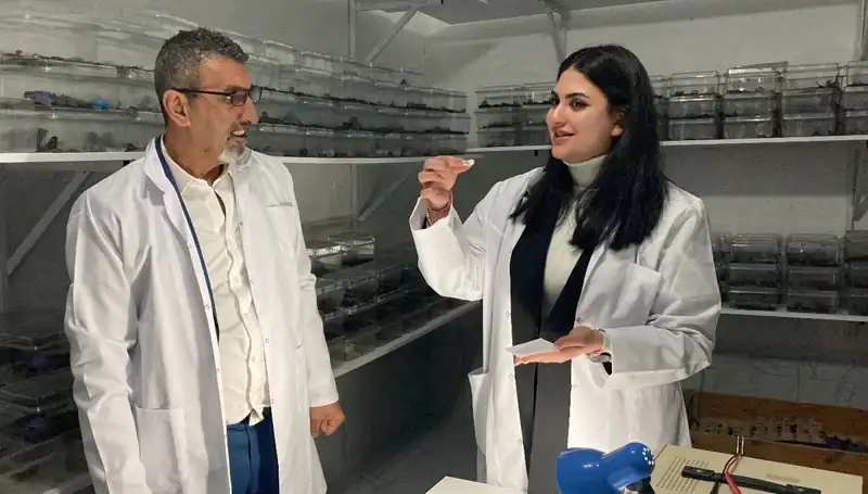 Akrep Zehri Şeker ile Buluşuyor: İlginç Bir Lezzet Deneyimi!